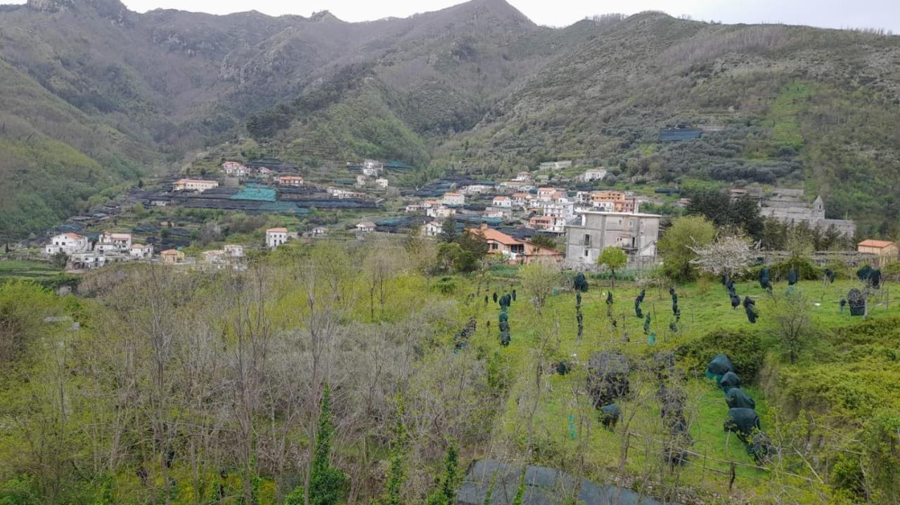 Hotel Affittacamere Novella Tramonti Exteriér fotografie