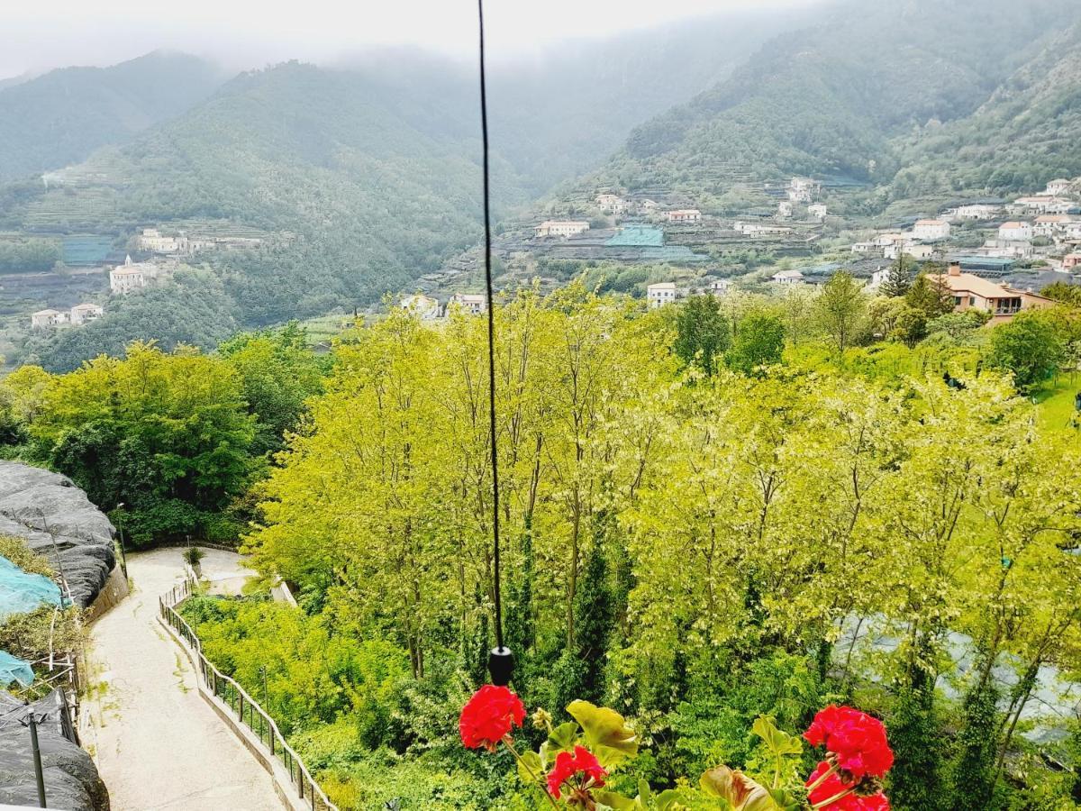 Hotel Affittacamere Novella Tramonti Exteriér fotografie